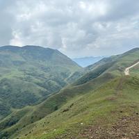 随性自由的海燕9Tl头像