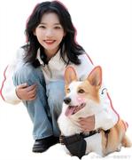 lyce的个人资料头像