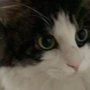 DA131的个人资料头像