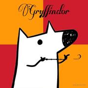 MASTERS的个人资料头像