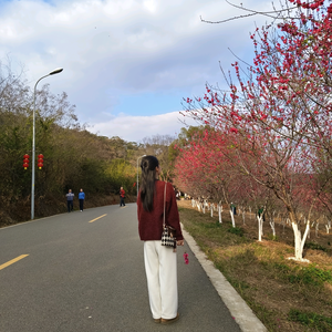 小龙女头像