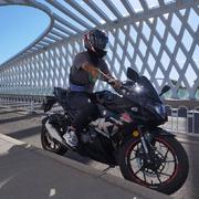 张小胖881的个人资料头像