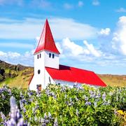 lincy571的个人资料头像