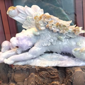 葵峰踏浪头像