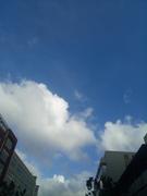 宇神的个人资料头像