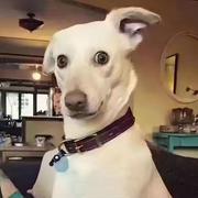 Tim295的个人资料头像