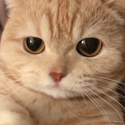 Kroben的个人资料头像