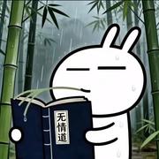 丨琅琊丨的个人资料头像