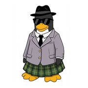 高雅的松灯的个人资料头像