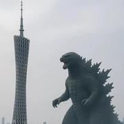 前端付豪的个人资料头像