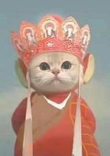 MrWEI733头像
