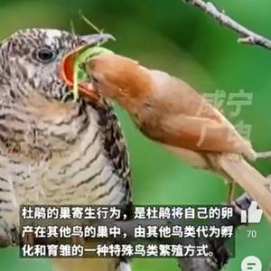 北漂的烦恼头像