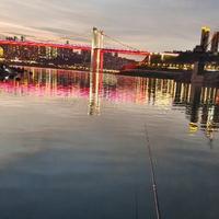 来重庆烫火锅儿头像