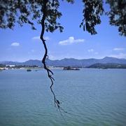 tkisowen的个人资料头像