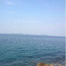 sea1a的个人资料头像