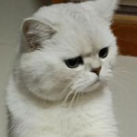 用户9507418780412头像