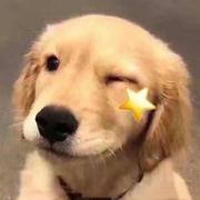 Shawn_xsz的个人资料头像