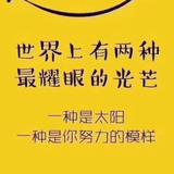 跳海自残的鱼头像