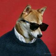 Kevin2096的个人资料头像