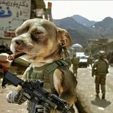 苏州小俊哥头像