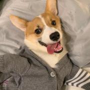 用户9743697072528的个人资料头像