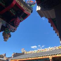 坦荡的钢琴WzX头像