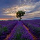 sunshine同学99586的个人资料头像