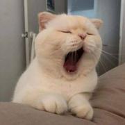 用户9320802400693的个人资料头像