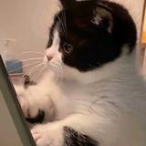 用户779607233033头像