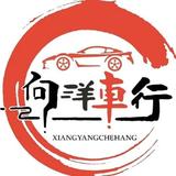 向洋车行雷洛头像