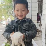 陈教主727头像
