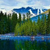 德才兼备荷叶xC7头像