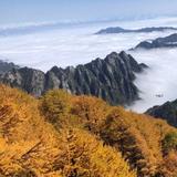 烈焰1275头像