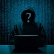 临风纵欢呀的个人资料头像