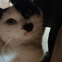 用户2591553014718头像