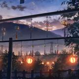 鸡莫西67头像