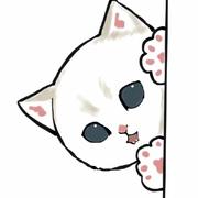 龙猫446的个人资料头像