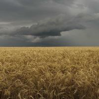 落落大方丷头像