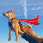 心静自然强的个人资料头像