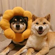 Frank493的个人资料头像