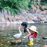 简简自媒体头像