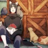 鼬丶刺客头像