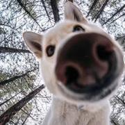 好好吃喝睡的个人资料头像