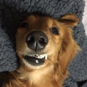 李維道的个人资料头像