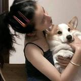用户253461756017头像