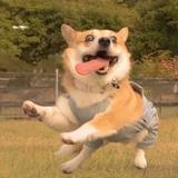 用户6462093821639头像