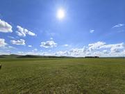 青禾木森的个人资料头像