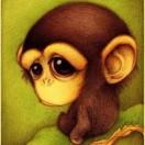 风间夜在掘金的个人资料头像