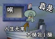王摆摆的个人资料头像