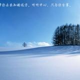 伟哥59720头像
